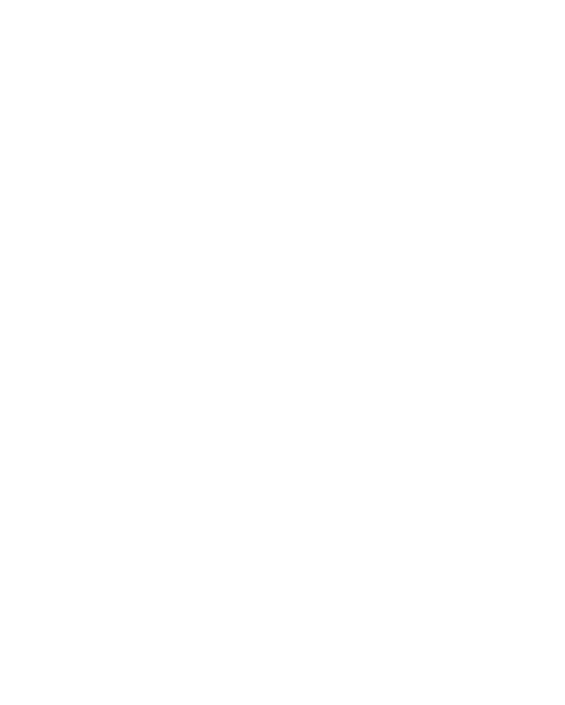 RMIX Logo